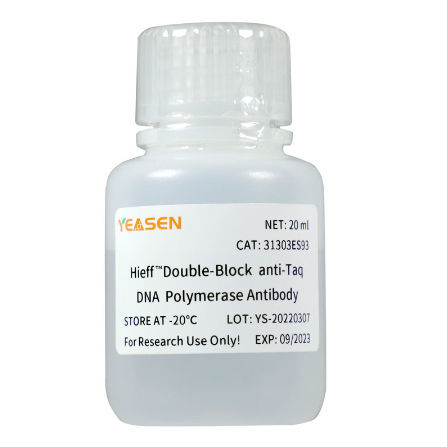 Reactivo anticuerpos - Hieff™ - Yeasen Biotechnology (Shanghai) Co., Ltd - anticuerpo monoclonal / ADN polimerasas / para biología molecular