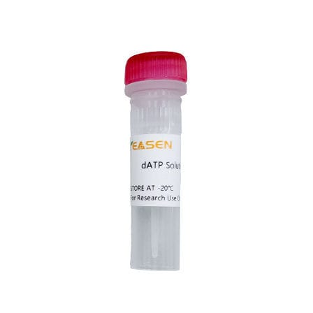 Reactivo en solución - 10118ES series - Yeasen Biotechnology (Shanghai) Co., Ltd - colorante / para biología molecular / de sodio