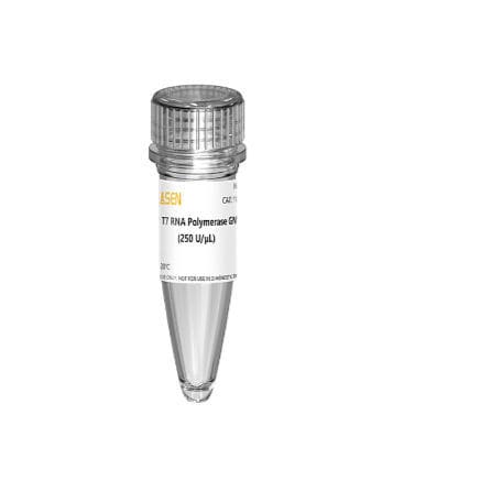 Reactivo enzima - 10625ES series - Yeasen Biotechnology (Shanghai) Co., Ltd - para síntesis del ARN / líquido / de GMP