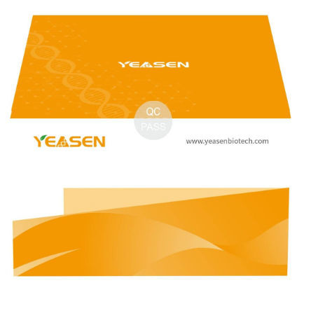 Reactivo en solución - Hieff Trans™ - Yeasen Biotechnology (Shanghai) Co., Ltd - para transferencia de ADN / para virus