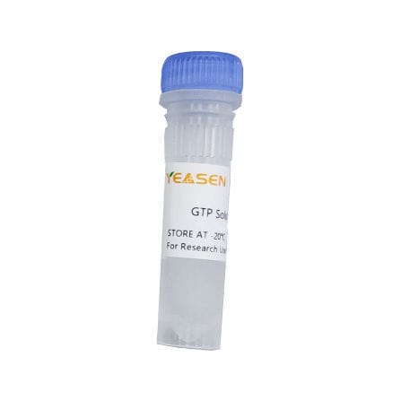 Reactivo en solución - 10132ES series - Yeasen Biotechnology (Shanghai) Co., Ltd - para transcripción in vitro / para síntesis del ARN / líquido