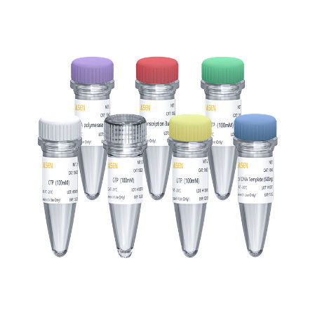 Kit de reactivos para síntesis del ARN - 10623ES series - Yeasen Biotechnology (Shanghai) Co., Ltd - solución de dNTP / solución tampón / líquido