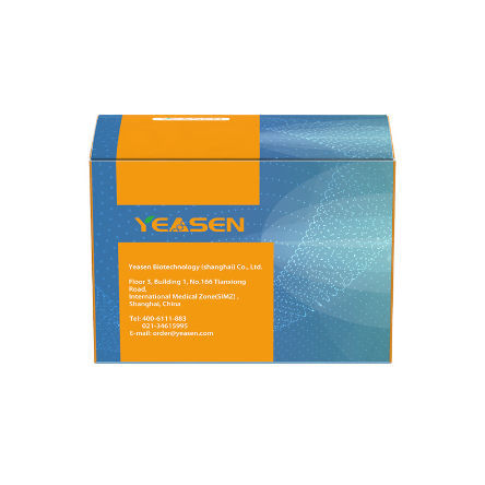 Kit de reactivos para preparación de pruebas - 18461ES series - Yeasen Biotechnology (Shanghai) Co., Ltd - en solución / para la investigación