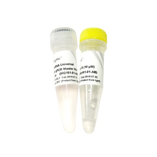 Reactivo ADN polimerasas - MQ101-0 series - Vazyme - colorante / para qPCR / de arranque en caliente