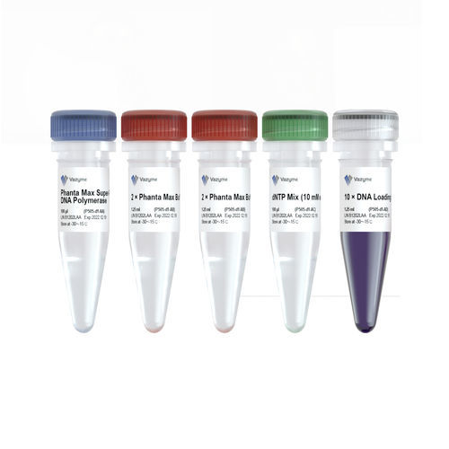 Reactivo enzima - Phanta Max  - Vazyme - ADN polimerasas / anticuerpo monoclonal / para PCR