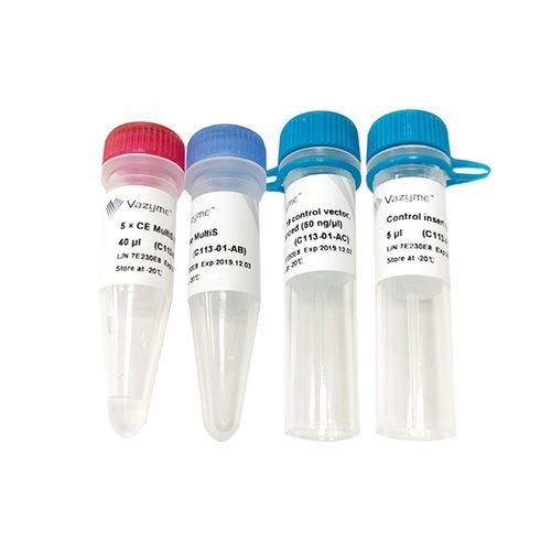 Reactivo enzima - ClonExpress MultiS - Vazyme - para PCR