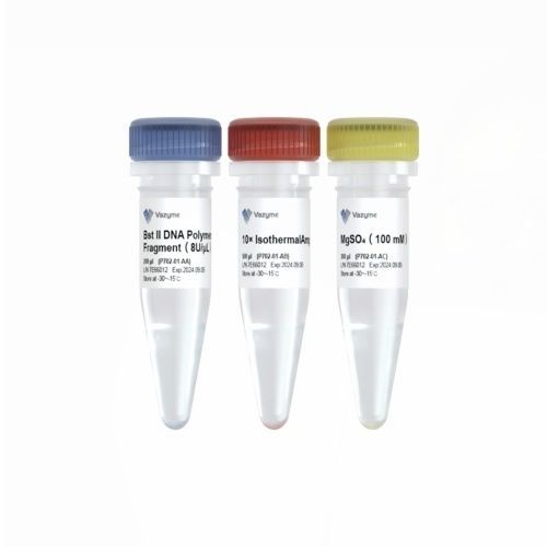 Kit de reactivos ADN polimerasas - Bst II - Vazyme - para amplificación isotérmica / de genes