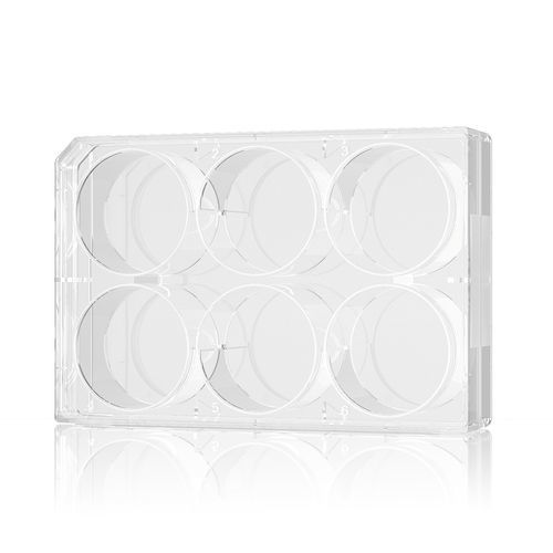 Microplaca de cultivo celular - CCP01006-B - Vazyme - de laboratorio / de 96 orificios / 6 pocillos