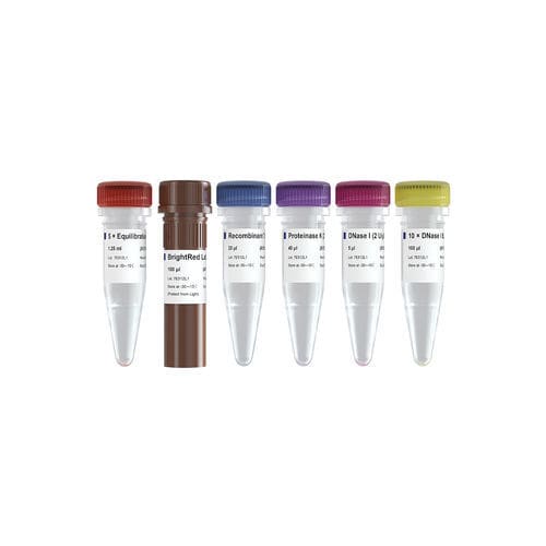Kit de reactivos enzima - TUNEL BrightRed - Vazyme - solución tampón / de apoptosis