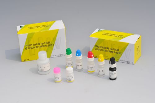 Prueba rápida de hepatitis A - Shanghai Rongsheng Biotech Co., Ltd. - de IgM / ELISA