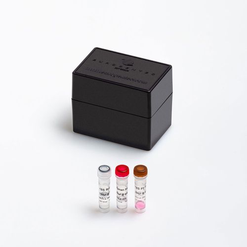 Kit de reactivos enzima - FAM-TAMRA  - Eurogentec - para la investigación / de diagnóstico / para qPCR
