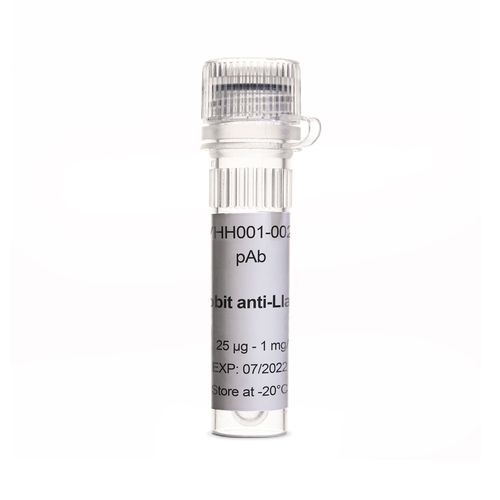 Reactivo anticuerpos - EG-VHH001-0025 - Eurogentec - para inmunohistoquímica / líquido / a base de animales