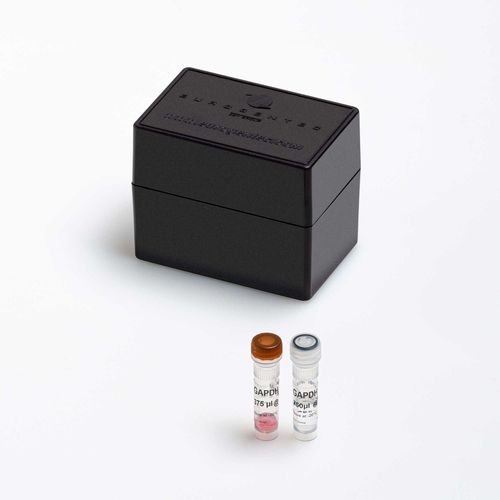 Kit de reactivos enzima - Yakima Yellow® - Eclipse Dark - Eurogentec - para la investigación / de diagnóstico / clínico