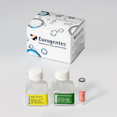 Kit de reactivos enzima - HGS Diamond Taq® - Eurogentec - ADN polimerasas / de diagnóstico / para PCR