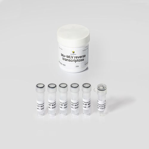 Kit de reactivos enzima - Mu-MLV - Eurogentec - retrotranscriptasa / para la investigación / líquido