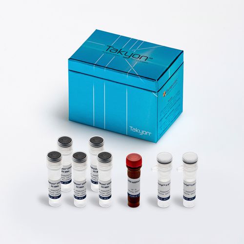 Kit de reactivos en solución - Takyon® - Eurogentec - ADN polimerasas / para la investigación / de RT-qPCR