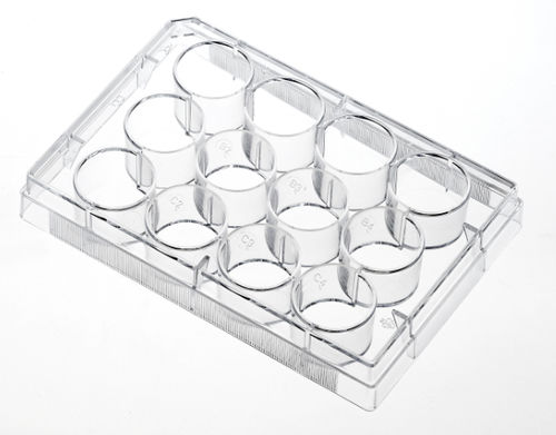 Microplaca de laboratorio - TCP001001 - Guangzhou Jet Bio-Filtration Co., Ltd. - de cultivo celular / de cultivo tisular / de 96 orificios