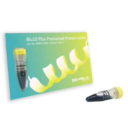 Escalera de proteínas - Blu10 Plus - Bio-Helix - para western blot