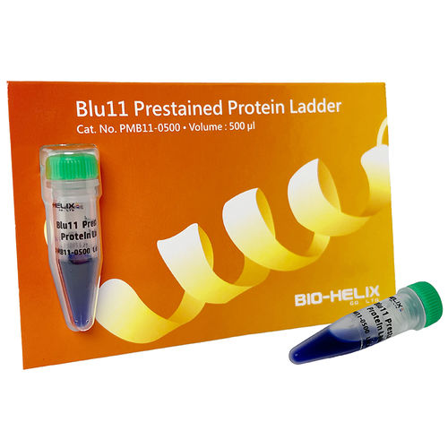 Escalera de proteínas - Blu11 - Bio-Helix - para western blot / de urea / de pH