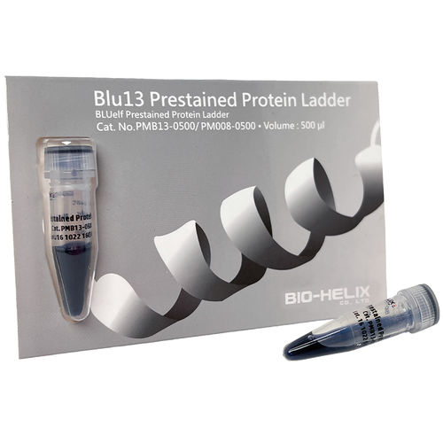 Escalera de proteínas - Blu13  - Bio-Helix - para la investigación / para western blot / de diagnóstico
