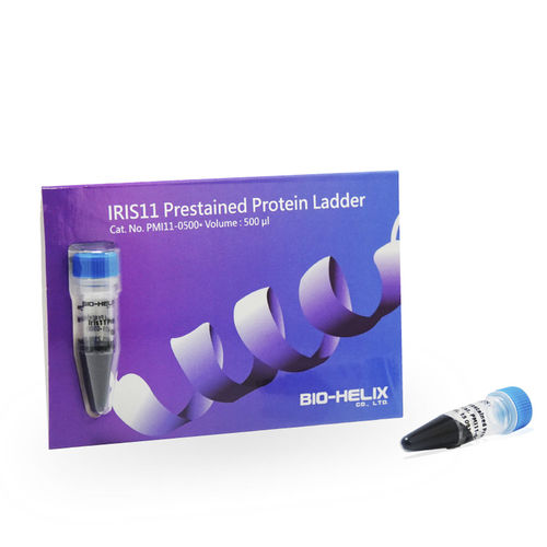 Escalera de proteínas - IRIS11 - Bio-Helix - para western blot / de control de calidad / de urea