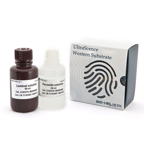 Reactivo anticuerpos - UltraScence Femto Plus - Bio-Helix - antígeno / IgG / para western blot