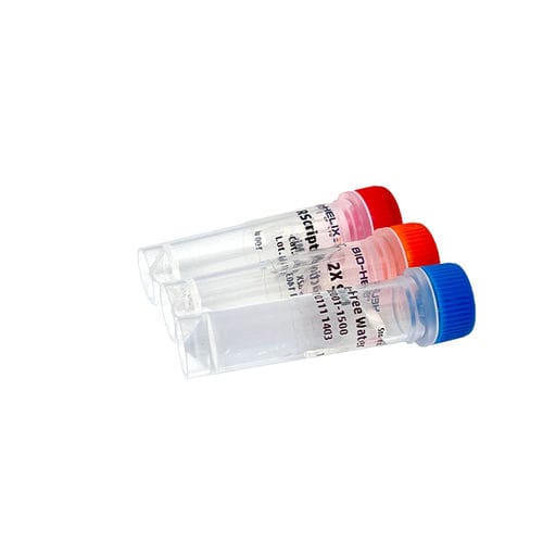 Kit de reactivos retrotranscriptasa - RScript™ - Bio-Helix - inhibidor de RNasa / para síntesis de ADNc