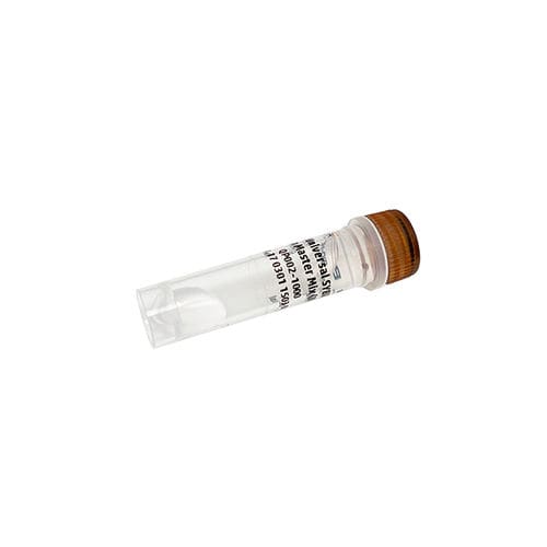Reactivo enzima - PanProbes™ - Bio-Helix - ADN polimerasas / colorante / para qPCR