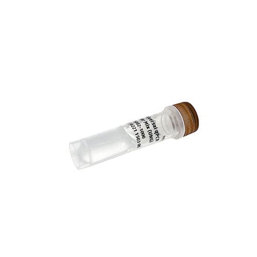 Reactivo enzima - PanGreen™ - Bio-Helix - ADN polimerasas / colorante / para PCR en tiempo real