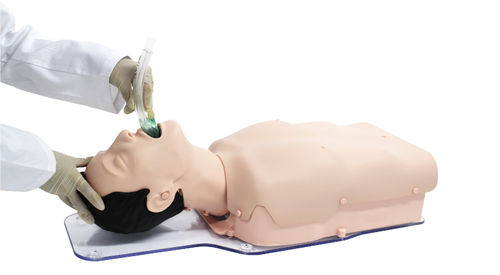Maniquí de prácticas para atención general - BT-CSIE-T - BT Inc. - para la gestión de las vías respiratorias / de intubación / adulto