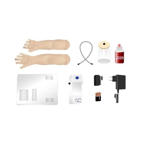 Simulador pediátrico - BT-CSIV-I - BT Inc. - de inyección intravenosa / de extracción de sangre / para atención general