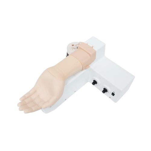 Simulador de punción arterial - BT-CSPA - BT Inc. - para atención general / adulto / de brazo