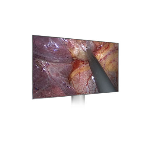 Monitor médico - HD1910 - Xuzhou Hengjia Electronic Technology - para endoscopia / quirúrgico / 1920 x 1080