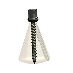 Tornillo pedicular para vértebra torácica - ISpine PLS-Ⅱ - Zhejiang Jiayou Medical Device - poliaxial / metálico
