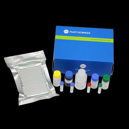 Kit de prueba para la investigación - 70-EK1290-96 - MULTI SCIENCES(LIANKE) BIOTECH, CO.,LTD. - de enfermedades neurodegenerativas / de los factores de crecimiento / de suero