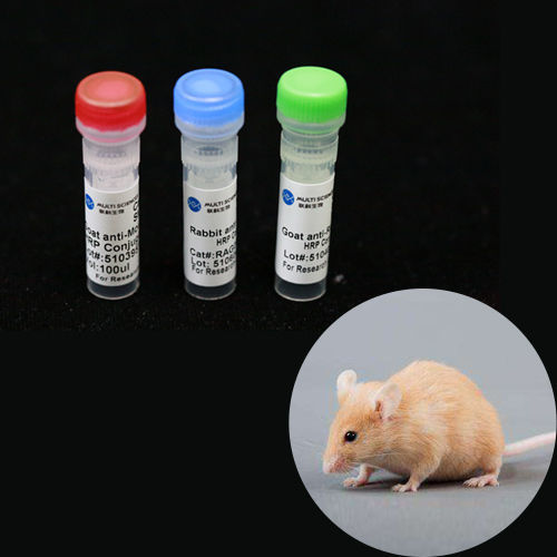 Reactivo anticuerpo monoclonal - BAB1738 - MULTI SCIENCES(LIANKE) BIOTECH, CO.,LTD. - colágeno / para la investigación / de laboratorio veterinario