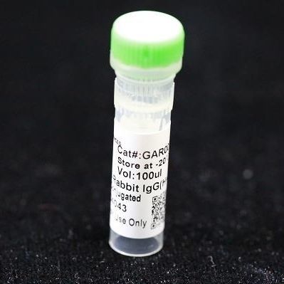 Reactivo anticuerpo monoclonal - BAB1727 - MULTI SCIENCES(LIANKE) BIOTECH, CO.,LTD. - conservante / para la investigación / de laboratorio veterinario