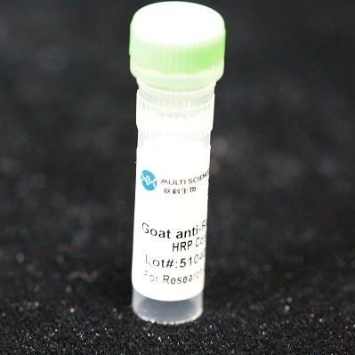 Reactivo anticuerpo monoclonal - BAB1724 - MULTI SCIENCES(LIANKE) BIOTECH, CO.,LTD. - conservante / colágeno / para la investigación