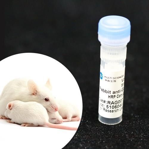 Reactivo anticuerpo monoclonal - BAB1721 - MULTI SCIENCES(LIANKE) BIOTECH, CO.,LTD. - conservante / para la investigación / de proteínas