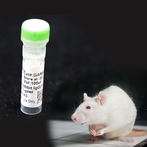 Reactivo anticuerpo monoclonal - BAB1720 - MULTI SCIENCES(LIANKE) BIOTECH, CO.,LTD. - conservante / para la investigación / de proteínas