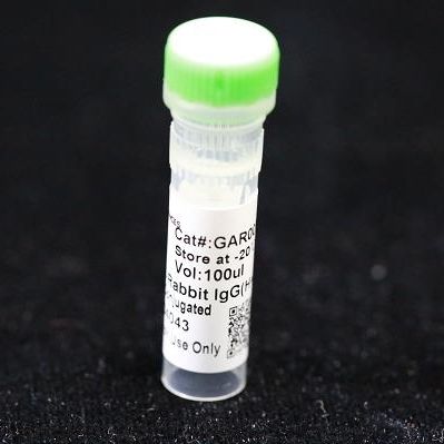 Reactivo anticuerpo monoclonal - BAB1719 - MULTI SCIENCES(LIANKE) BIOTECH, CO.,LTD. - conservante / para la investigación / de proteínas