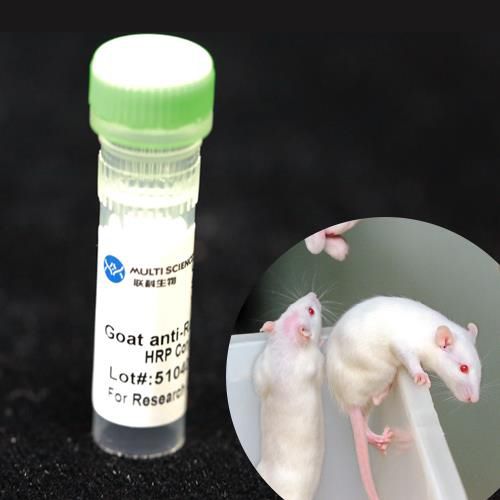 Reactivo anticuerpo monoclonal - BAB1714 - MULTI SCIENCES(LIANKE) BIOTECH, CO.,LTD. - conservante / para la investigación / de proteínas