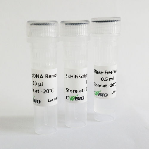 Reactivo enzima - HiFiScript - Jiangsu CoWin Biotech Co.,Ltd - retrotranscriptasa / para RT-PCR / de RT-qPCR