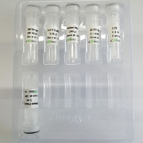 Reactivo enzima - HiFiScript  - Jiangsu CoWin Biotech Co.,Ltd - retrotranscriptasa / de RT-qPCR