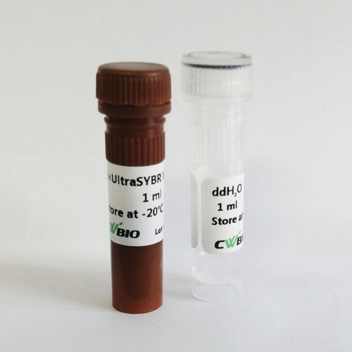 Reactivo enzima - UltraSYBR Mixture - Jiangsu CoWin Biotech Co.,Ltd - ADN polimerasas / polimerasa Taq / colorante
