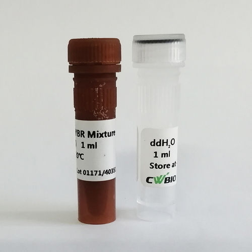 Reactivo ADN polimerasas - UltraSYBR Mixture - Jiangsu CoWin Biotech Co.,Ltd - polimerasa Taq / solución tampón / colorante