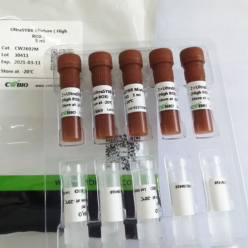 Reactivo enzima - UltraSYBR Mixture - Jiangsu CoWin Biotech Co.,Ltd - ADN polimerasas / polimerasa Taq / colorante