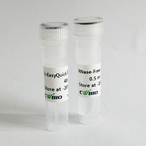 Kit de reactivos retrotranscriptasa - EasyQuick RT - Jiangsu CoWin Biotech Co.,Ltd - para síntesis de ADNc