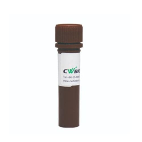 Reactivo enzima - FastSYBR - Jiangsu CoWin Biotech Co.,Ltd - polimerasa Taq / para qPCR / de arranque en caliente