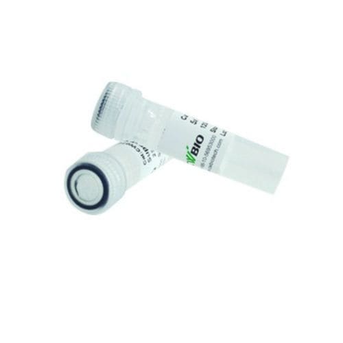 Reactivo tampón de carga - 2×Super Pfx - Jiangsu CoWin Biotech Co.,Ltd - enzima / ADN polimerasas / para PCR
